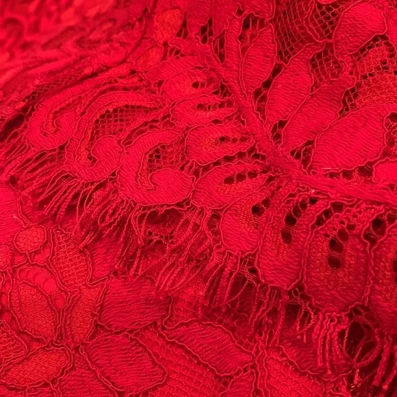 NBD High Rise Red Lace Pants with Frayed Hemline NEW! - Picture 7 of 8